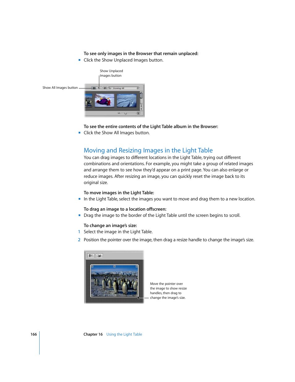 Moving and resizing images in the light table | Apple Aperture Getting Started User Manual | Page 166 / 222
