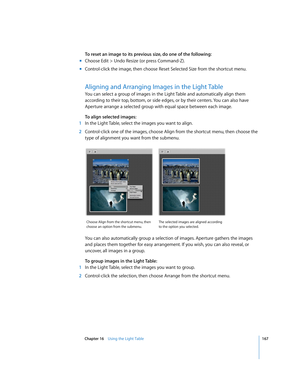 Aligning and arranging images in the light table | Apple Aperture Getting Started User Manual | Page 167 / 222