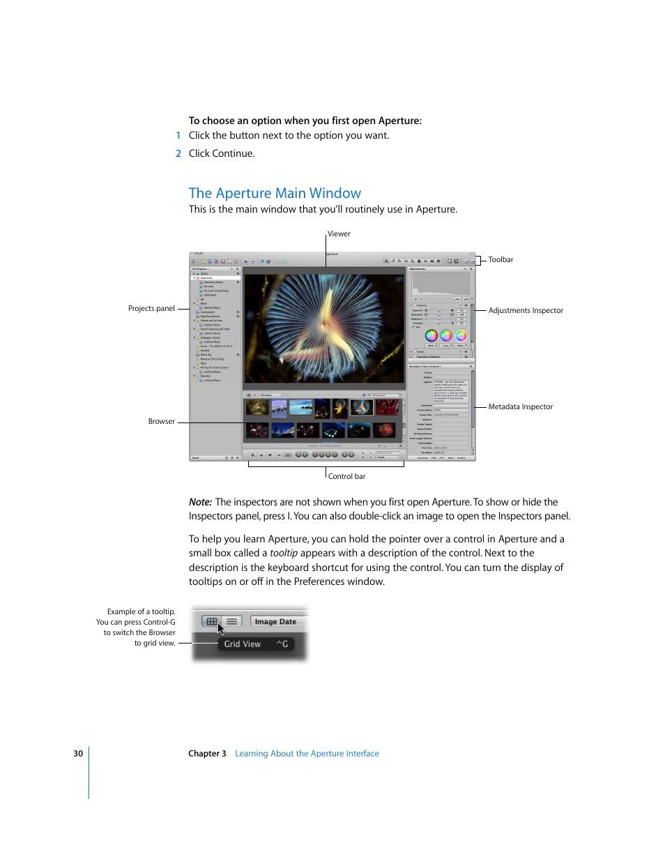 The aperture main window | Apple Aperture Getting Started User Manual | Page 30 / 222