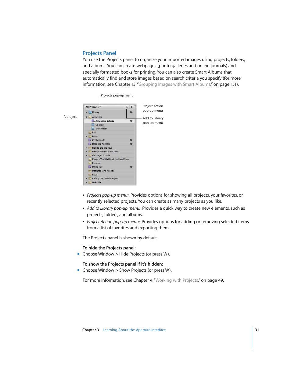Projects panel | Apple Aperture Getting Started User Manual | Page 31 / 222