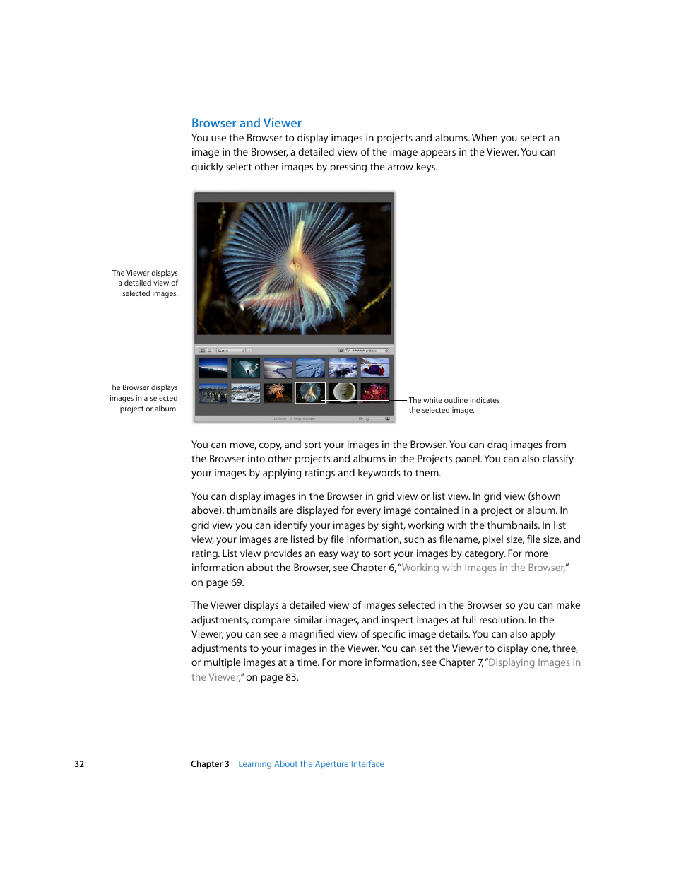 Browser and viewer | Apple Aperture Getting Started User Manual | Page 32 / 222