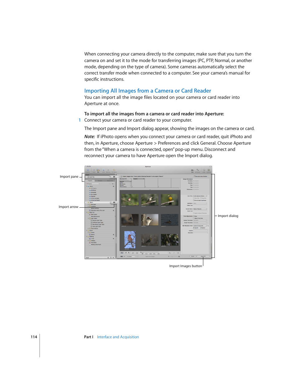 Importing all images from a camera or card reader | Apple Aperture 2 User Manual | Page 114 / 701