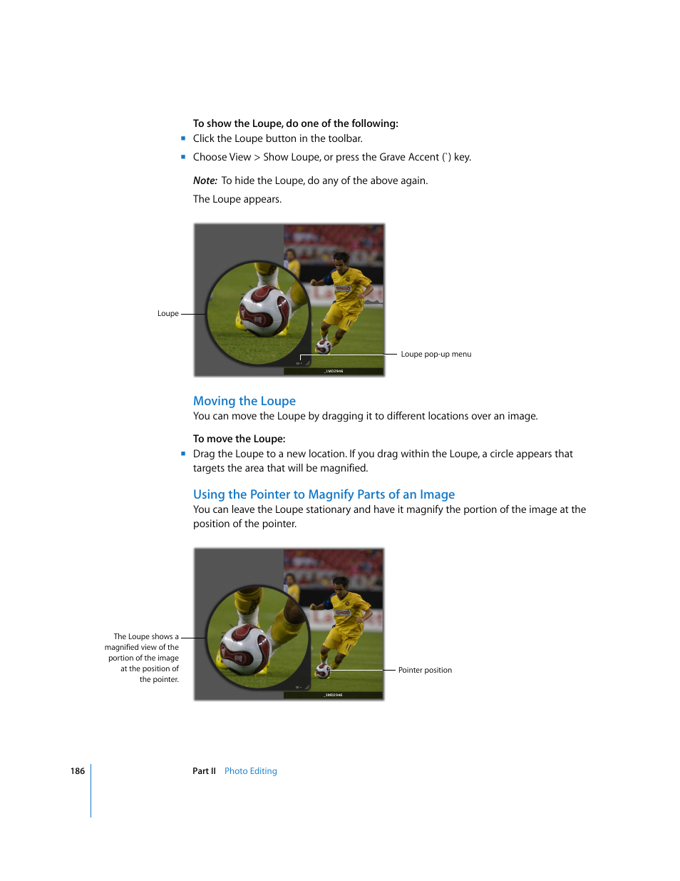 Moving the loupe, Using the pointer to magnify parts of an image | Apple Aperture 2 User Manual | Page 186 / 701