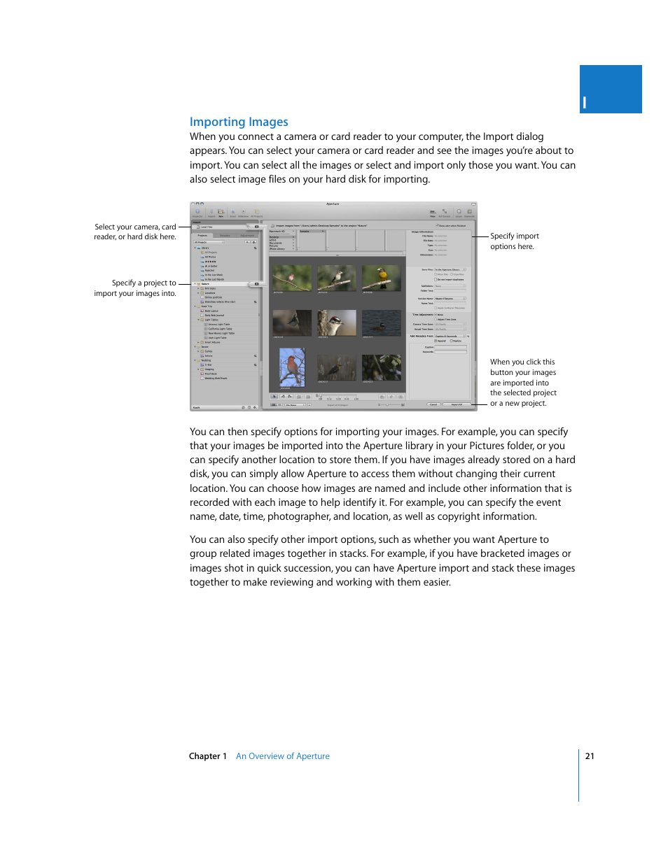 Importing images | Apple Aperture 2 User Manual | Page 21 / 701