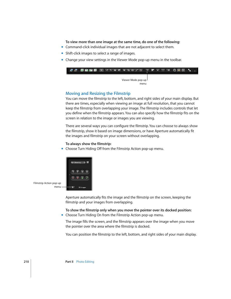 Moving and resizing the filmstrip | Apple Aperture 2 User Manual | Page 210 / 701