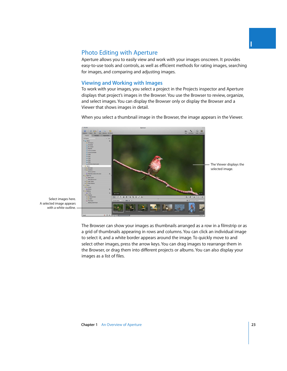 Photo editing with aperture, Viewing and working with images, P. 23) | Apple Aperture 2 User Manual | Page 23 / 701