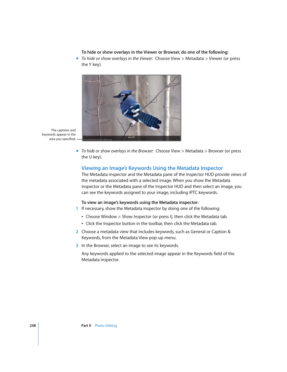 Apple Aperture 2 User Manual | Page 248 / 701