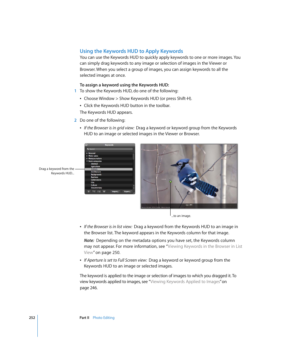 Using the keywords hud to apply keywords | Apple Aperture 2 User Manual | Page 252 / 701