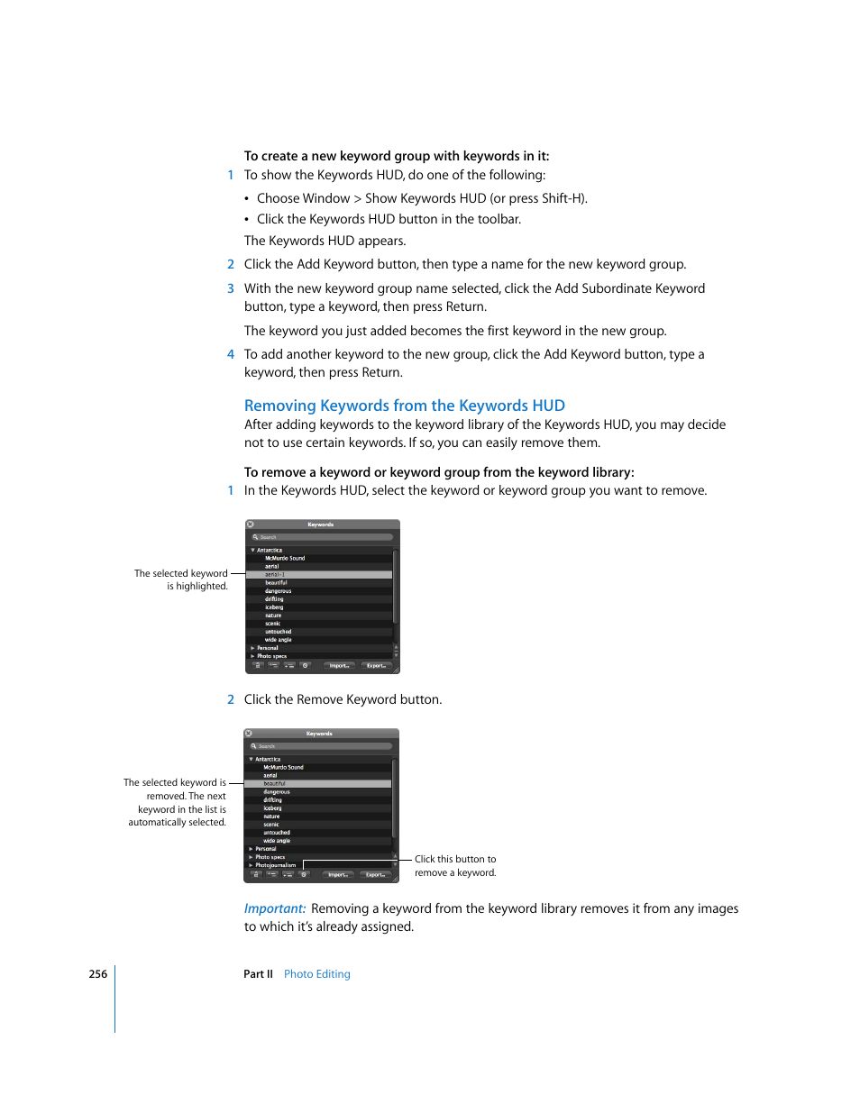 Removing keywords from the keywords hud | Apple Aperture 2 User Manual | Page 256 / 701