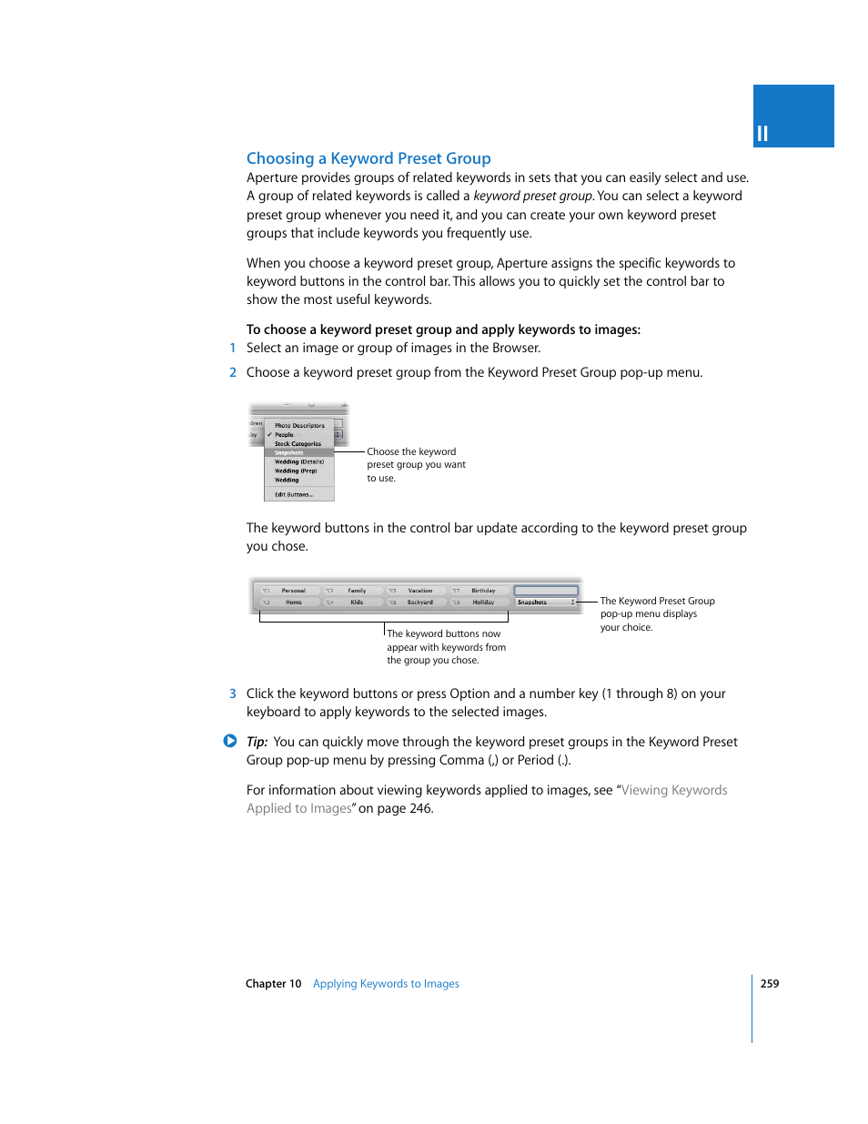 Choosing a keyword preset group | Apple Aperture 2 User Manual | Page 259 / 701