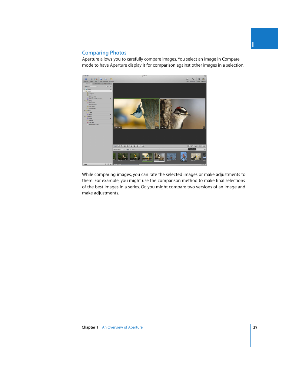 Comparing photos | Apple Aperture 2 User Manual | Page 29 / 701