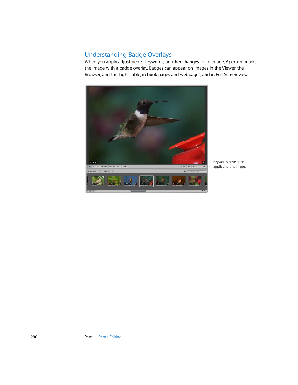 Understanding badge overlays, P. 290) | Apple Aperture 2 User Manual | Page 290 / 701