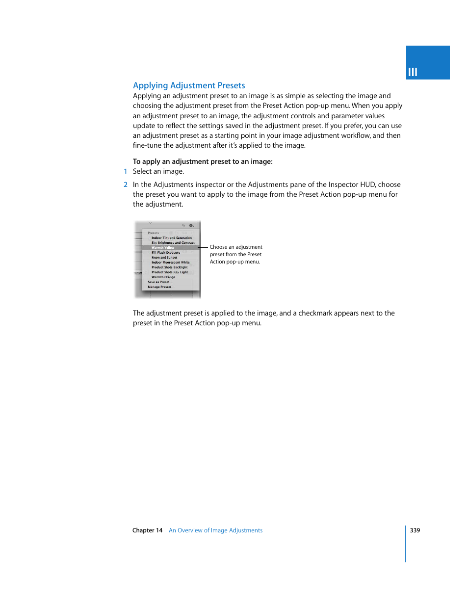 Applying adjustment presets | Apple Aperture 2 User Manual | Page 339 / 701