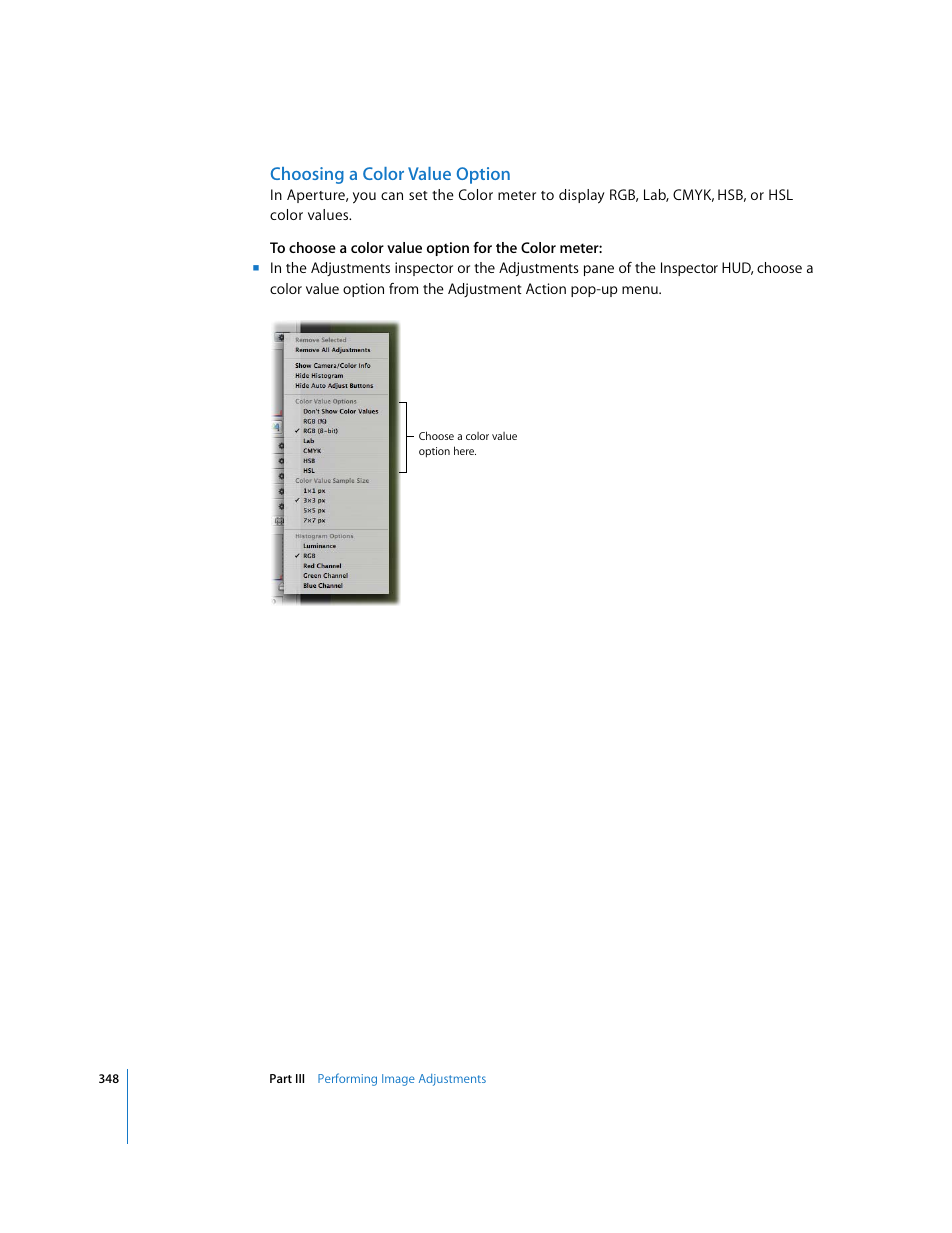Choosing a color value option | Apple Aperture 2 User Manual | Page 348 / 701
