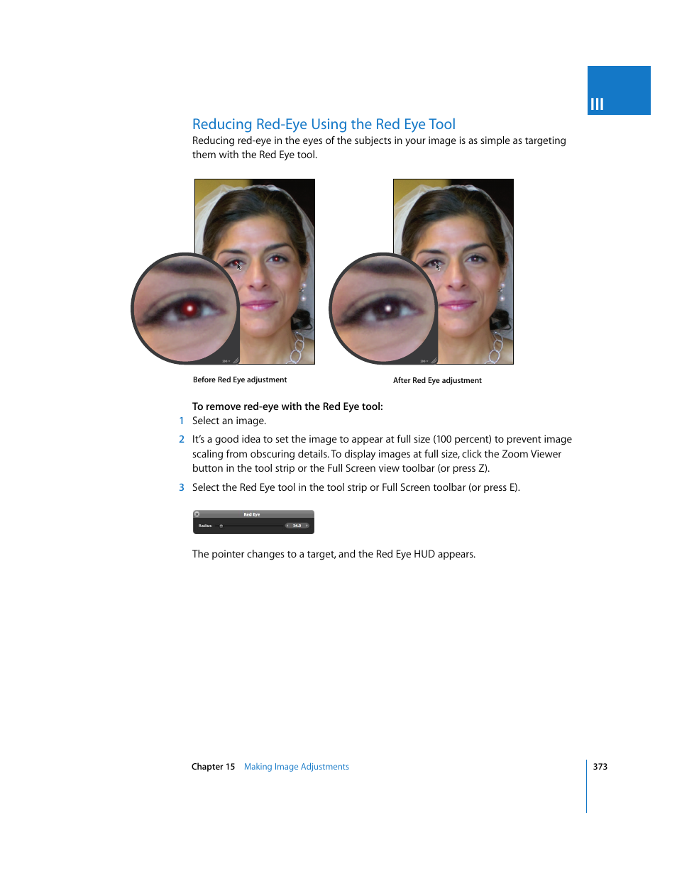 Reducing red-eye using the red eye tool | Apple Aperture 2 User Manual | Page 373 / 701