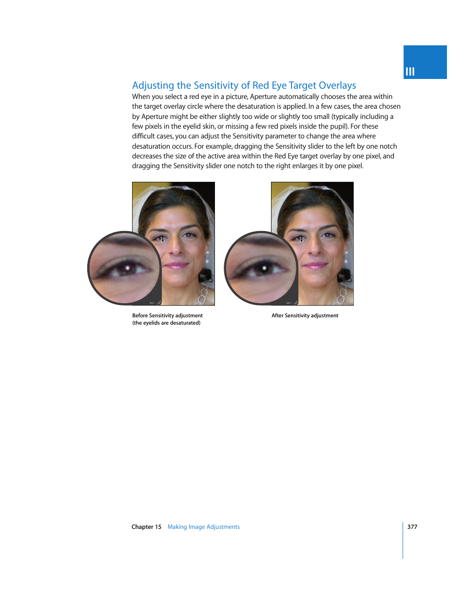 Apple Aperture 2 User Manual | Page 377 / 701