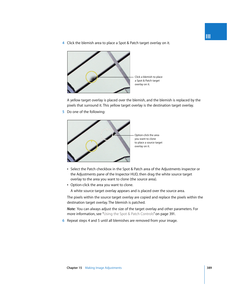 Apple Aperture 2 User Manual | Page 389 / 701