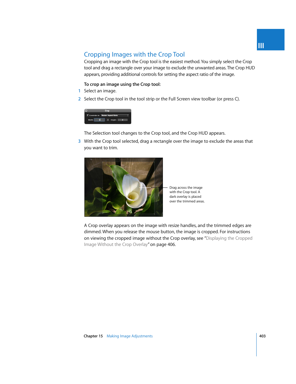 Cropping images with the crop tool | Apple Aperture 2 User Manual | Page 403 / 701