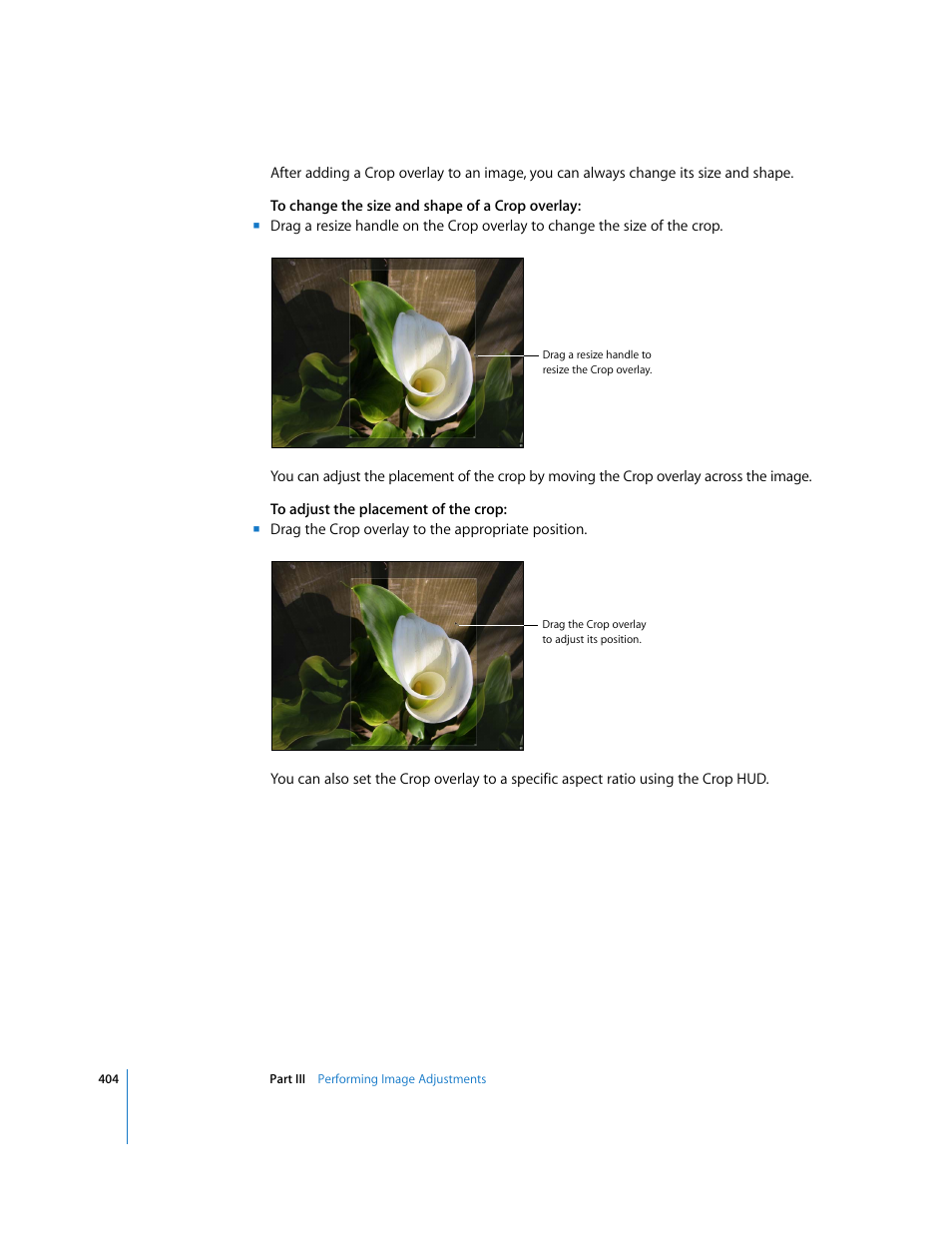 Apple Aperture 2 User Manual | Page 404 / 701