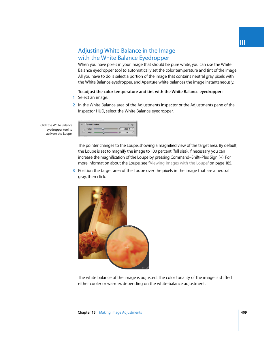 Apple Aperture 2 User Manual | Page 409 / 701