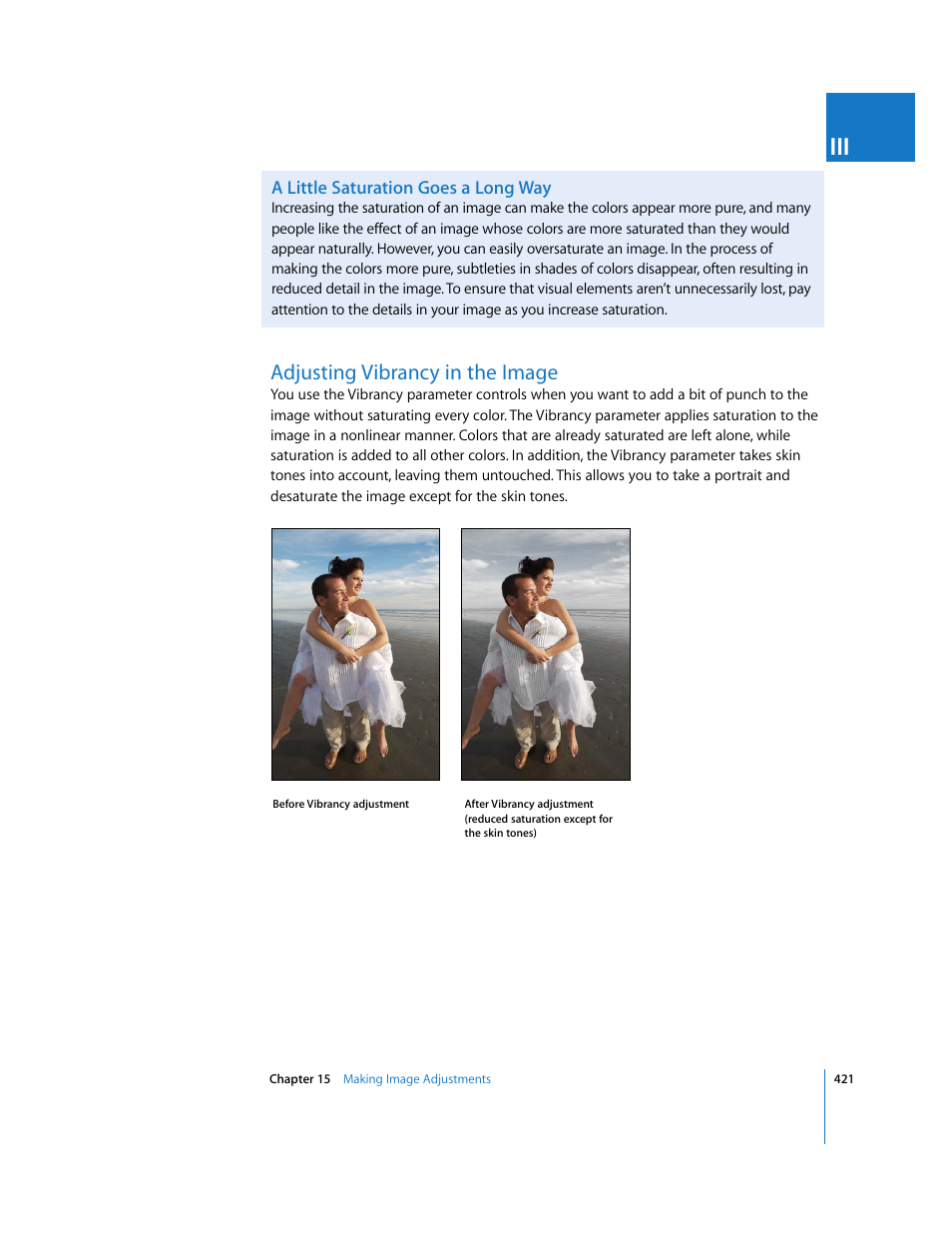 Adjusting vibrancy in the image | Apple Aperture 2 User Manual | Page 421 / 701