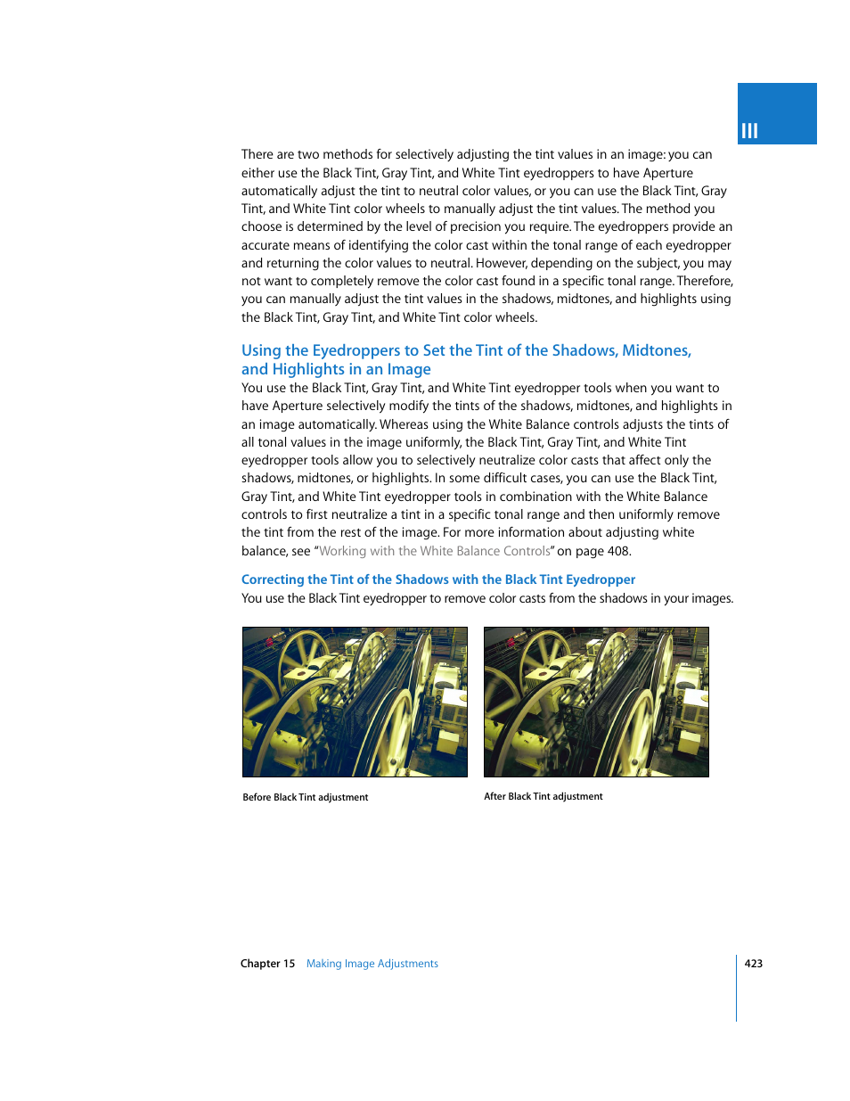 Apple Aperture 2 User Manual | Page 423 / 701