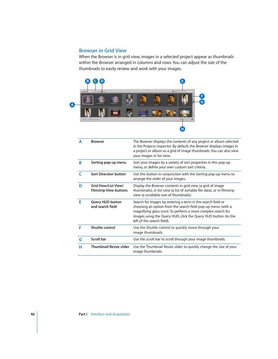 Browser in grid view | Apple Aperture 2 User Manual | Page 46 / 701