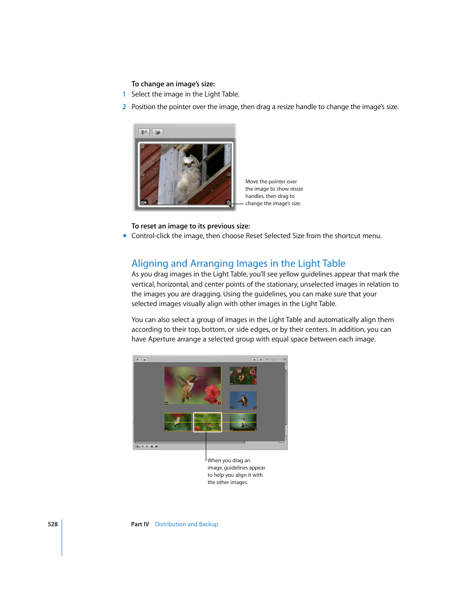 Aligning and arranging images in the light table, P. 528) | Apple Aperture 2 User Manual | Page 528 / 701