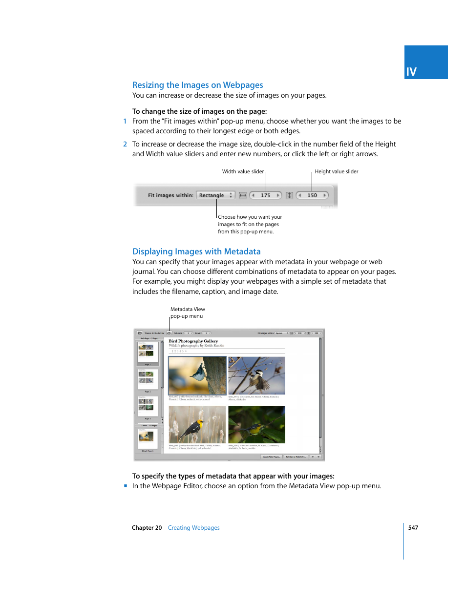 Displaying images with metadata | Apple Aperture 2 User Manual | Page 547 / 701