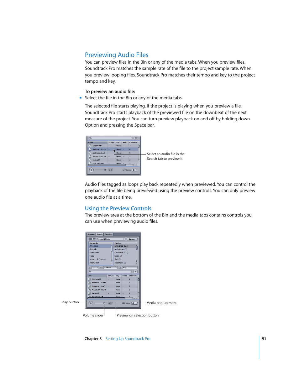 Previewing audio files, Using the preview controls, Using the preview | Controls | Apple Soundtrack Pro 2 User Manual | Page 91 / 566