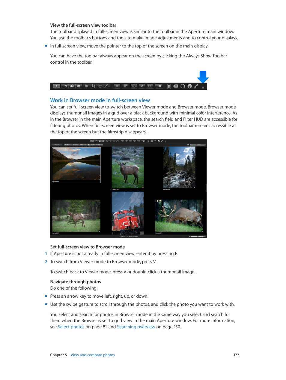 Work in browser mode in full-screen view | Apple Aperture 3.5 User Manual | Page 177 / 526