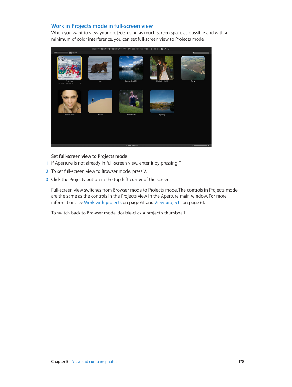 Work in projects mode in full-screen view | Apple Aperture 3.5 User Manual | Page 178 / 526