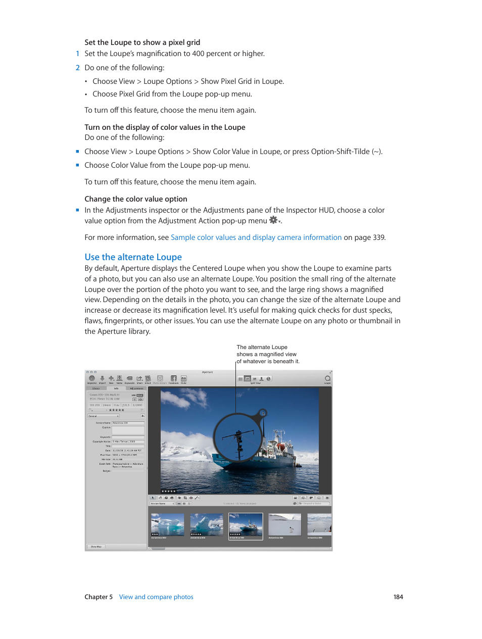 Use the alternate loupe | Apple Aperture 3.5 User Manual | Page 184 / 526