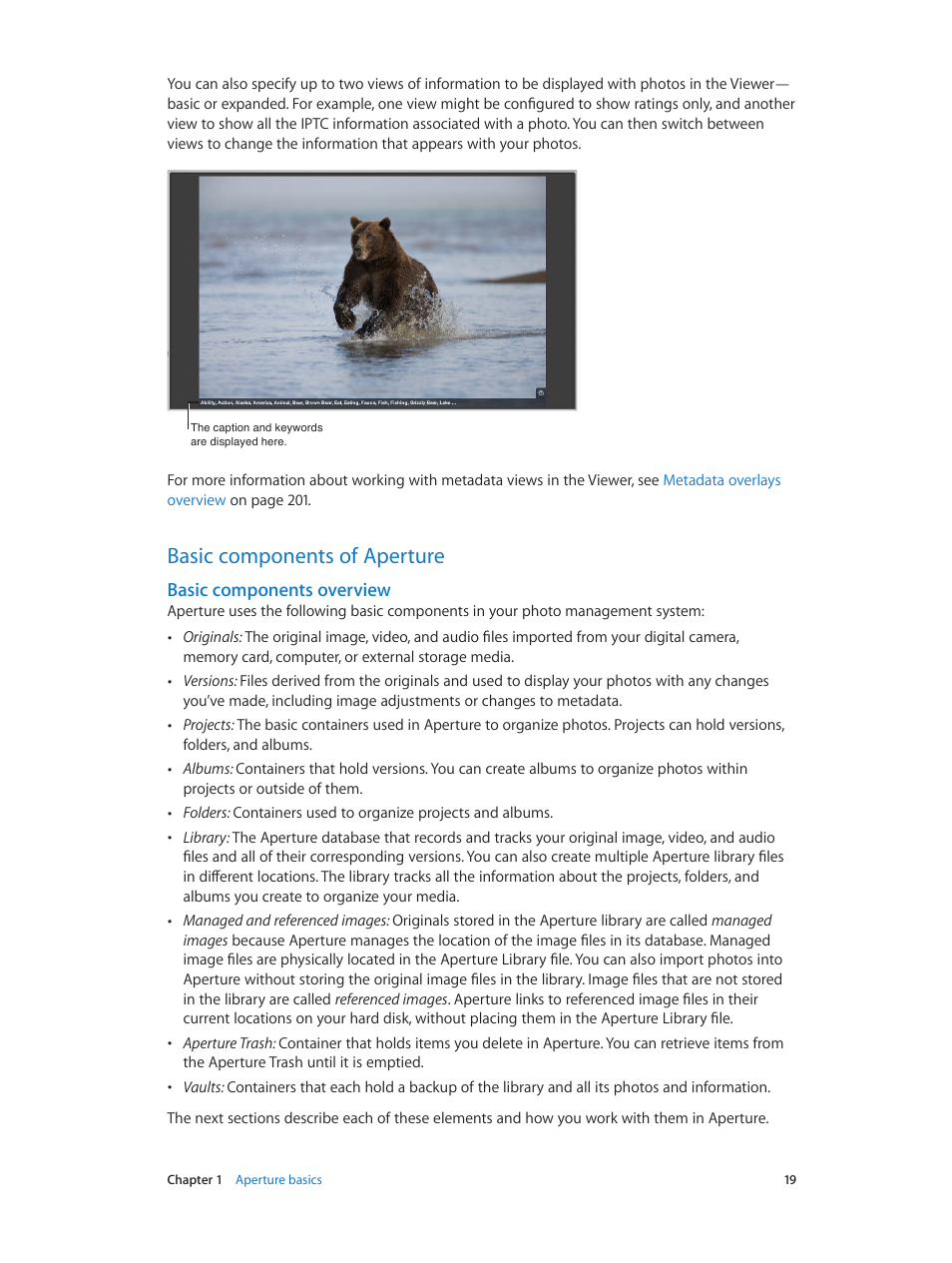 Basic components of aperture, Basic components overview, 19 basic components of aperture 19 | Apple Aperture 3.5 User Manual | Page 19 / 526