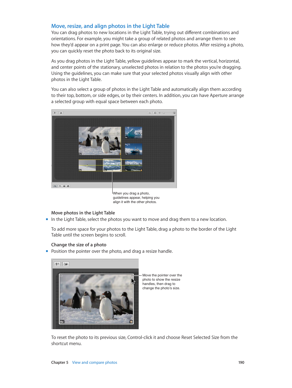 Move, resize, and align photos in the light table | Apple Aperture 3.5 User Manual | Page 190 / 526