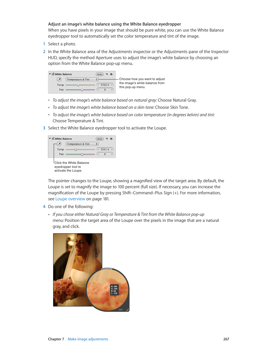 Apple Aperture 3.5 User Manual | Page 267 / 526