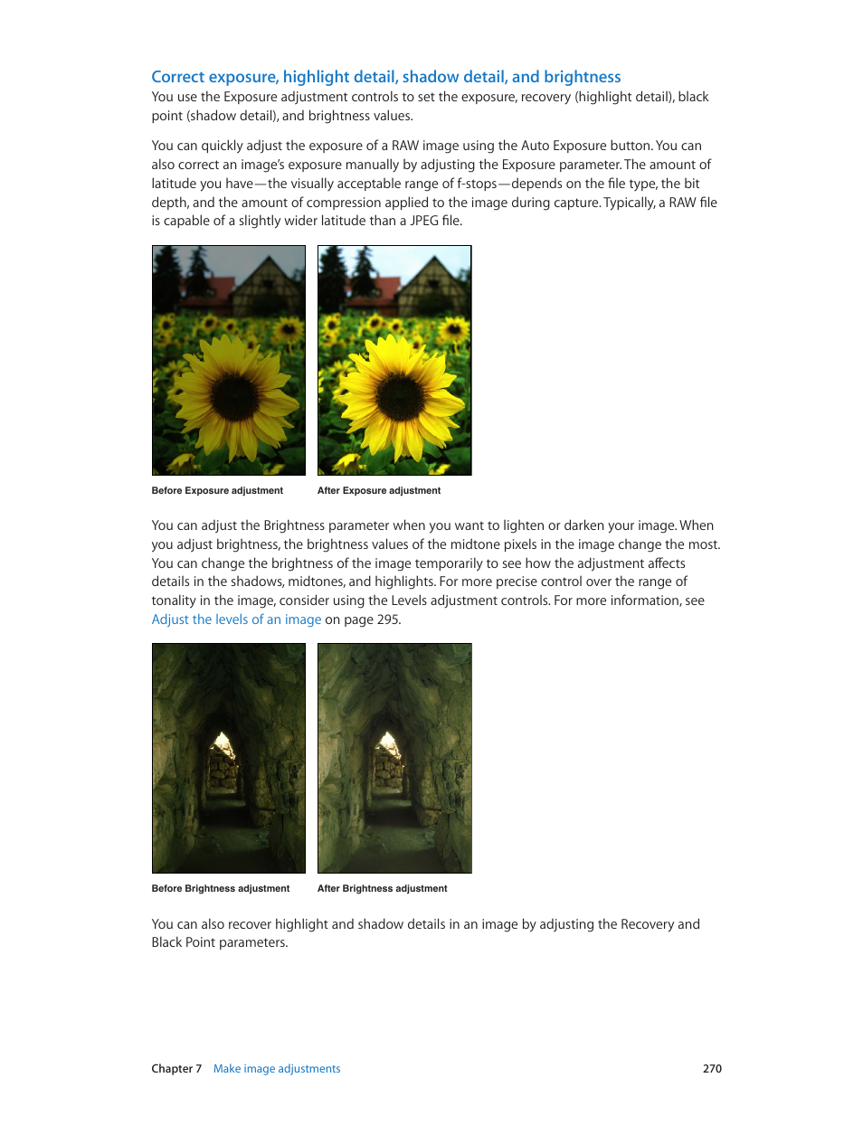 Apple Aperture 3.5 User Manual | Page 270 / 526