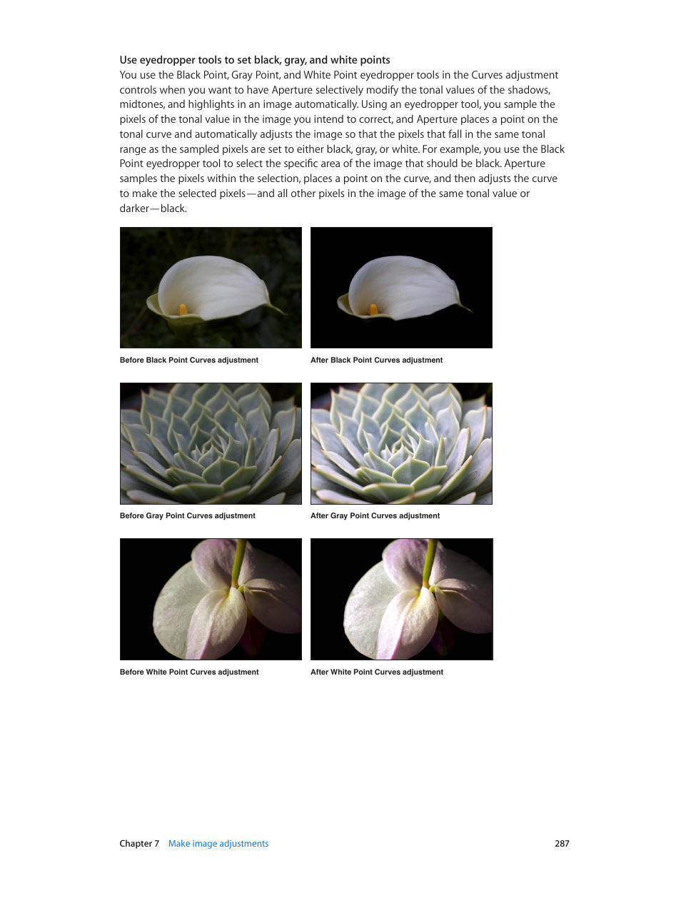 Apple Aperture 3.5 User Manual | Page 287 / 526