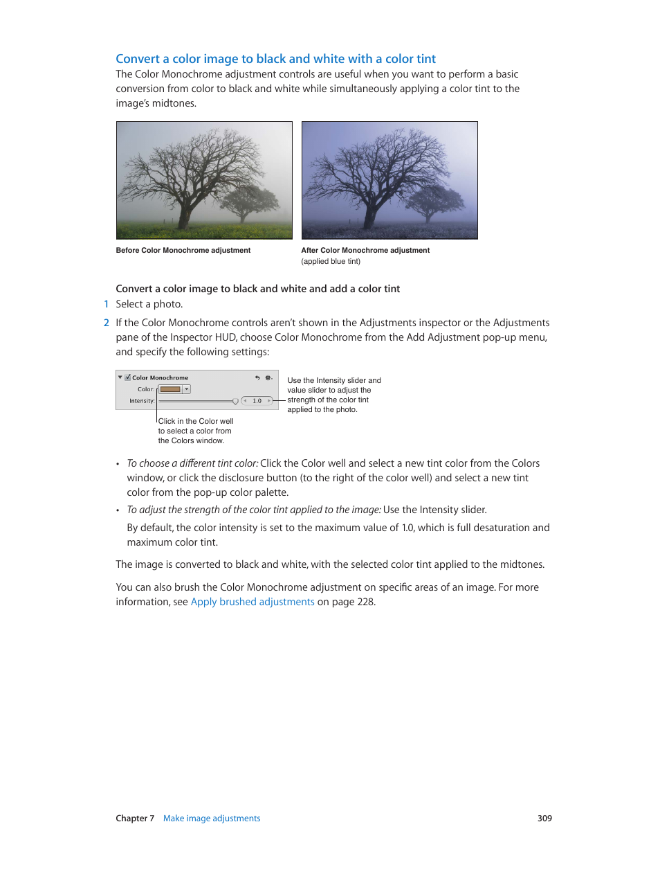 Apple Aperture 3.5 User Manual | Page 309 / 526