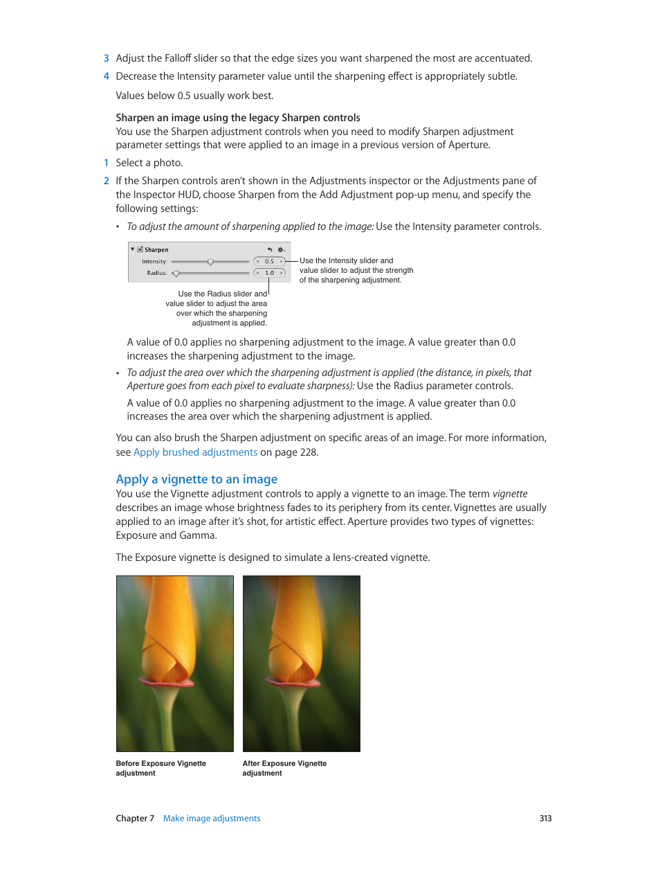 Apply a vignette to an image | Apple Aperture 3.5 User Manual | Page 313 / 526