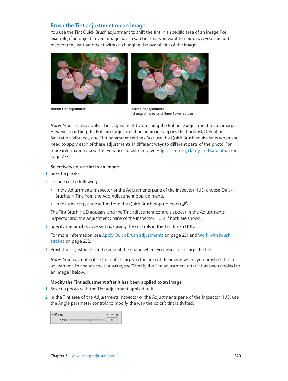 Brush the tint adjustment on an image | Apple Aperture 3.5 User Manual | Page 320 / 526