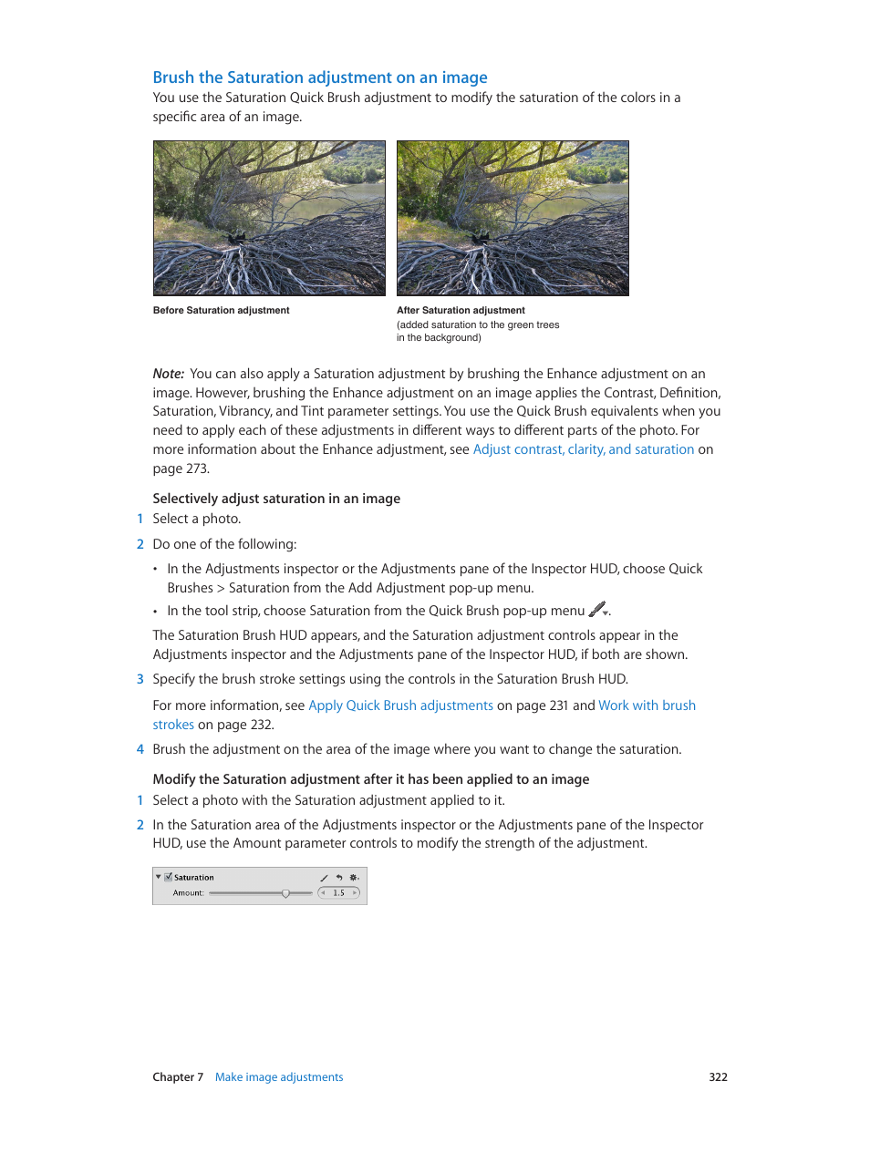 Brush the saturation adjustment on an image | Apple Aperture 3.5 User Manual | Page 322 / 526