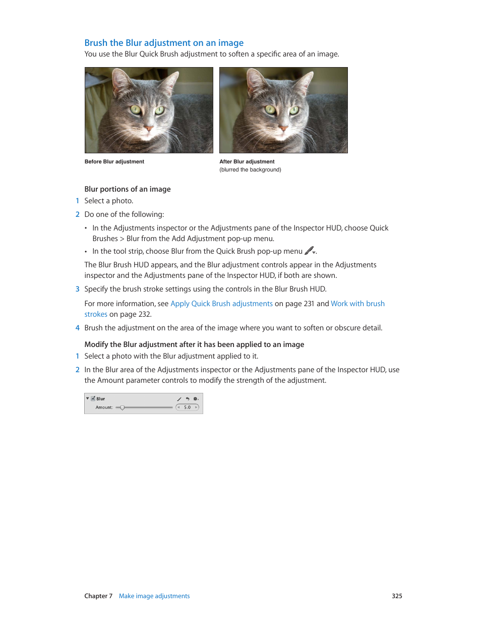 Brush the blur adjustment on an image | Apple Aperture 3.5 User Manual | Page 325 / 526