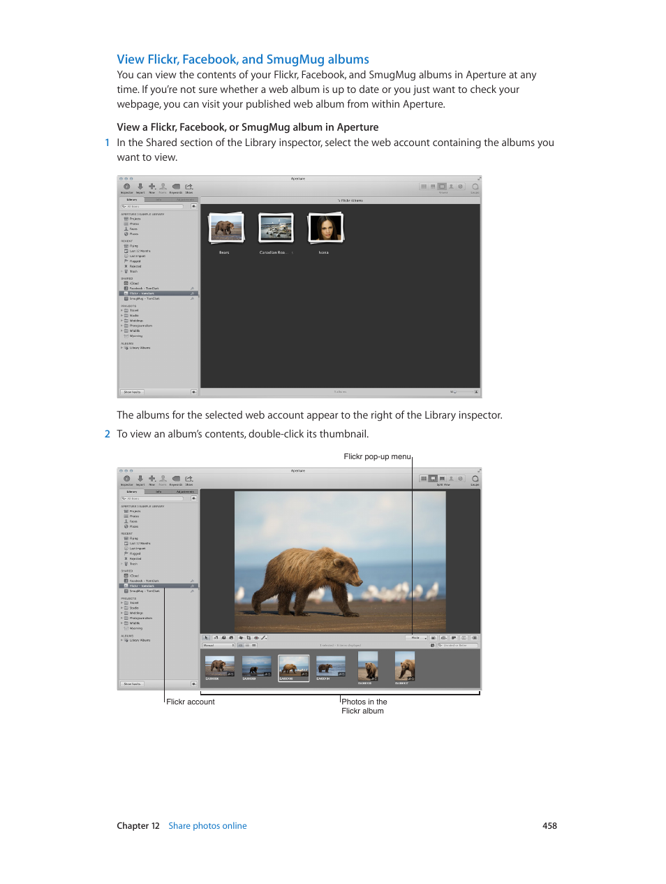 View flickr, facebook, and smugmug albums | Apple Aperture 3.5 User Manual | Page 458 / 526