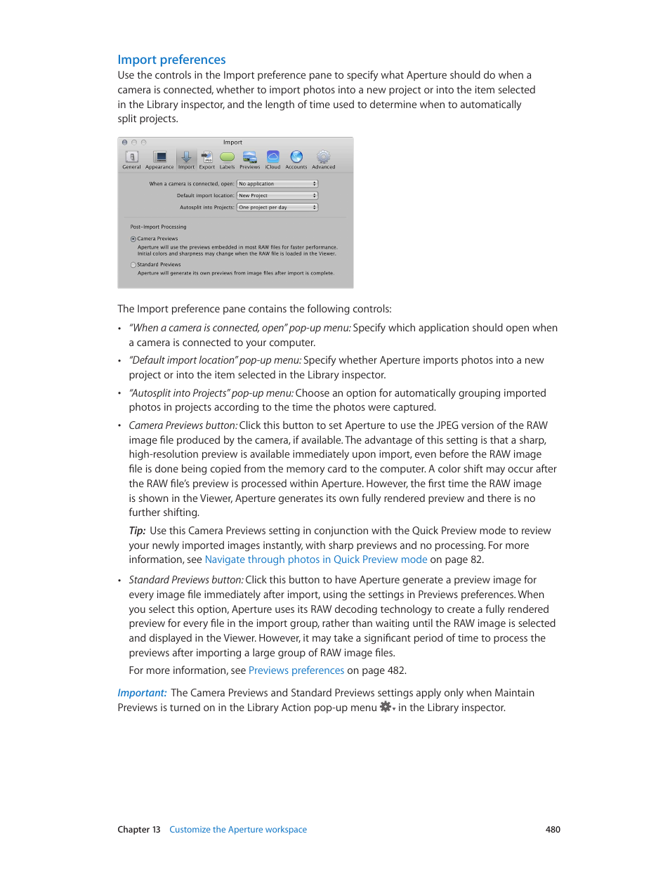 Import preferences | Apple Aperture 3.5 User Manual | Page 480 / 526