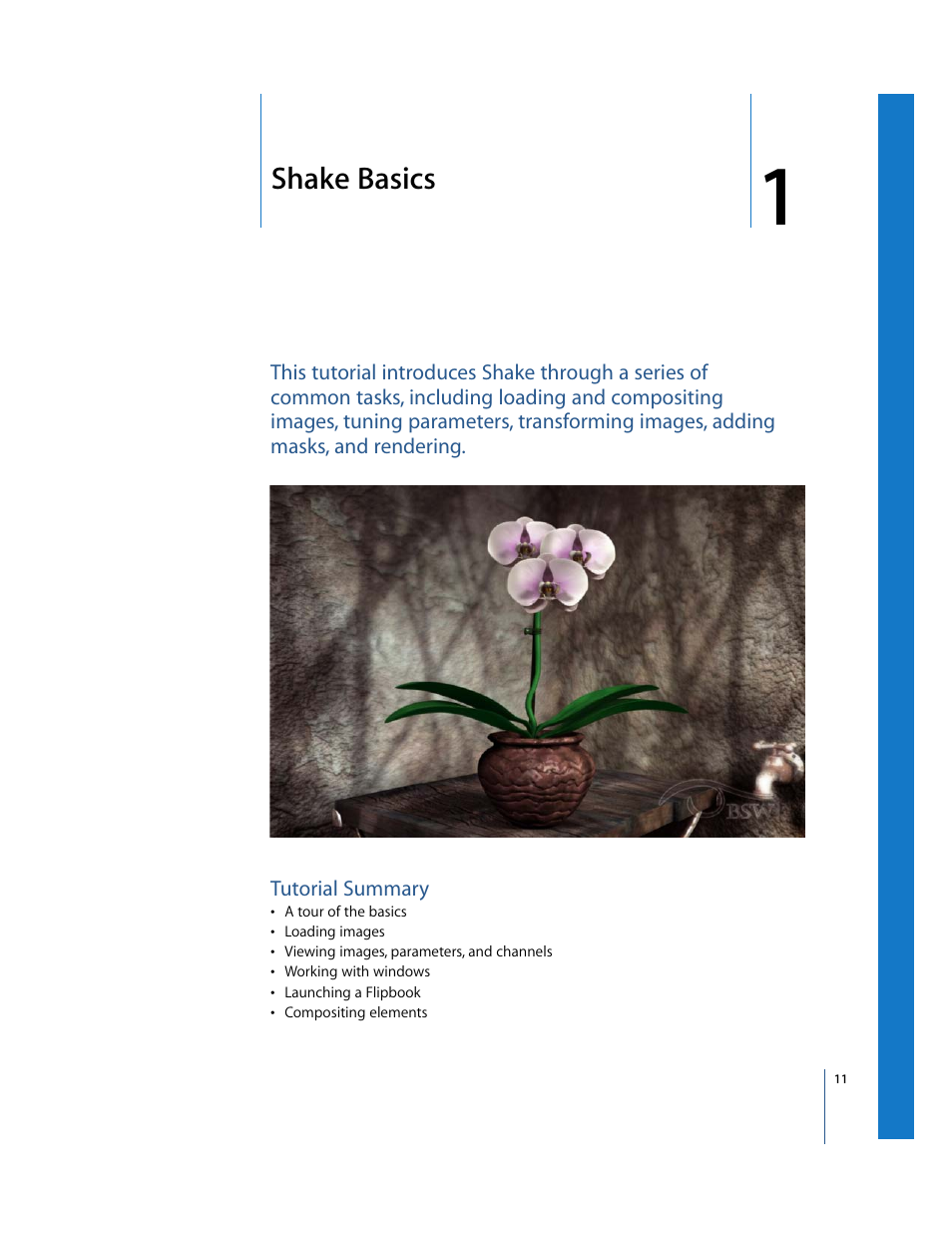 Shake basics, Tutorial summary, Chapter | Apple Shake 4 Tutorials User Manual | Page 11 / 260