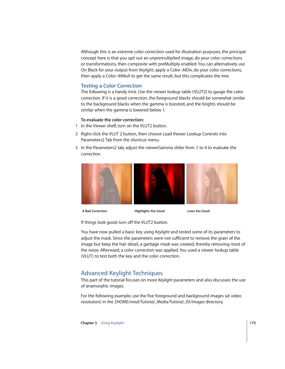 Testing a color correction, Advanced keylight techniques | Apple Shake 4 Tutorials User Manual | Page 175 / 260