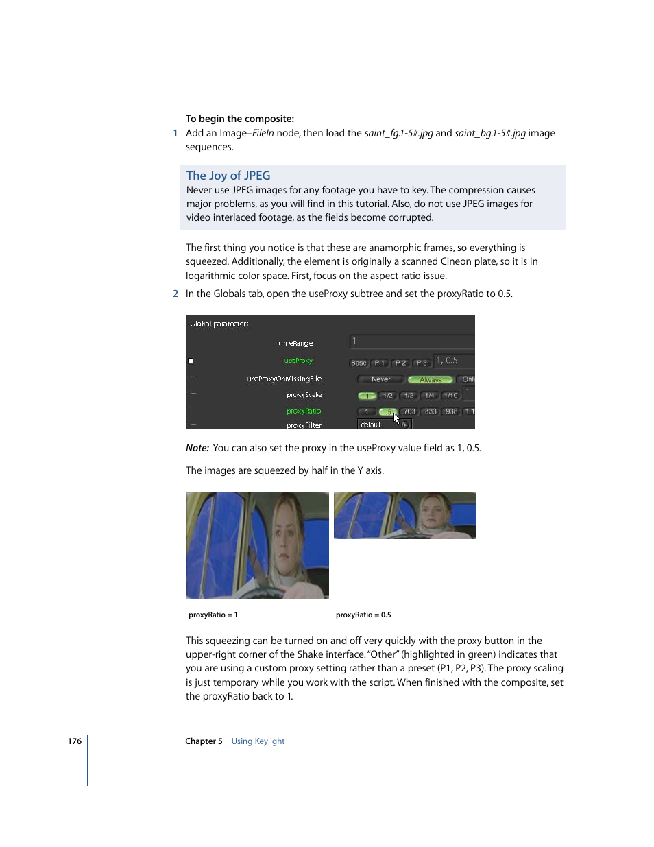 The joy of jpeg | Apple Shake 4 Tutorials User Manual | Page 176 / 260