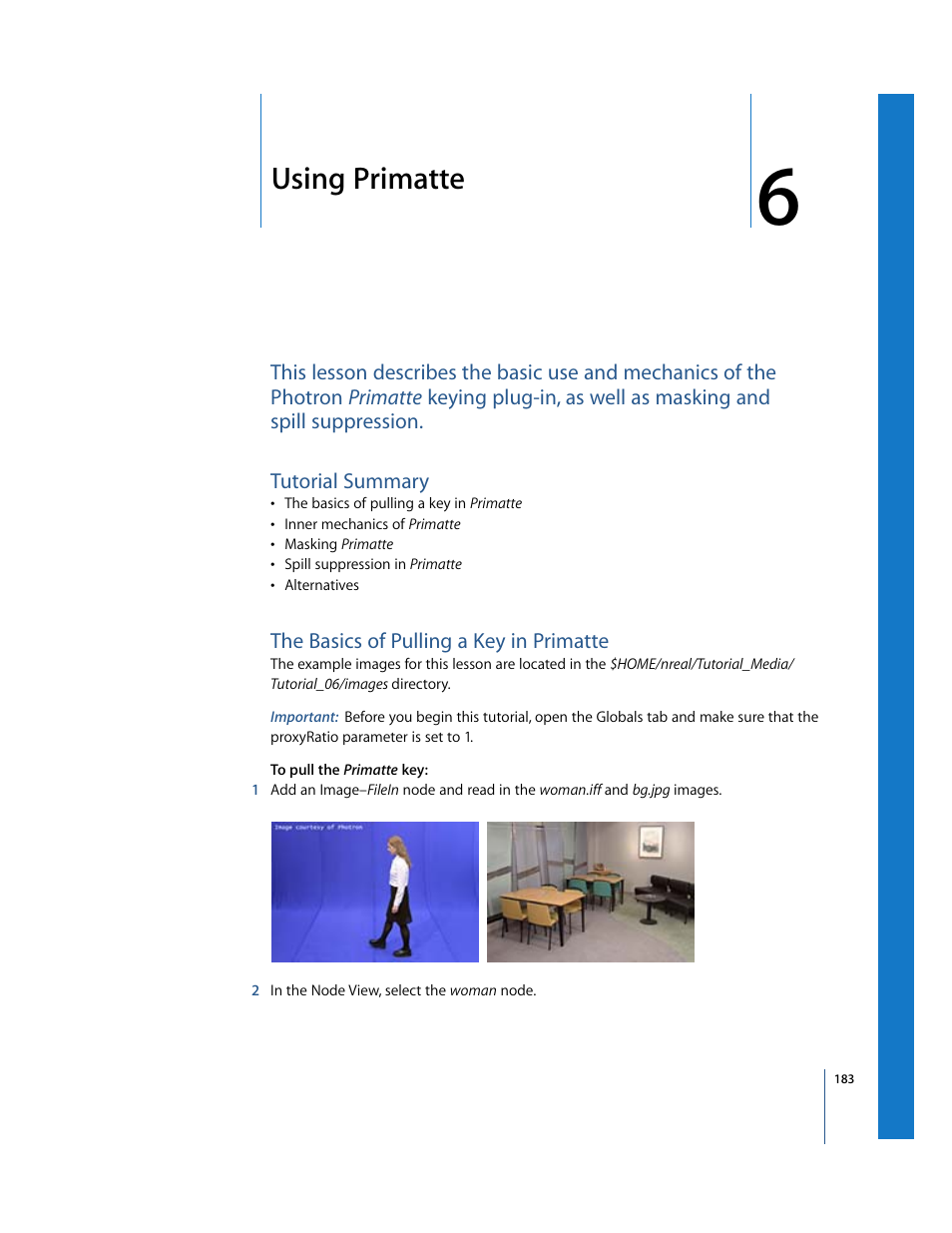 Using primatte, Tutorial summary, The basics of pulling a key in primatte | Masking, Color correcting the foreground image, Advanced keylight techniques | Apple Shake 4 Tutorials User Manual | Page 183 / 260