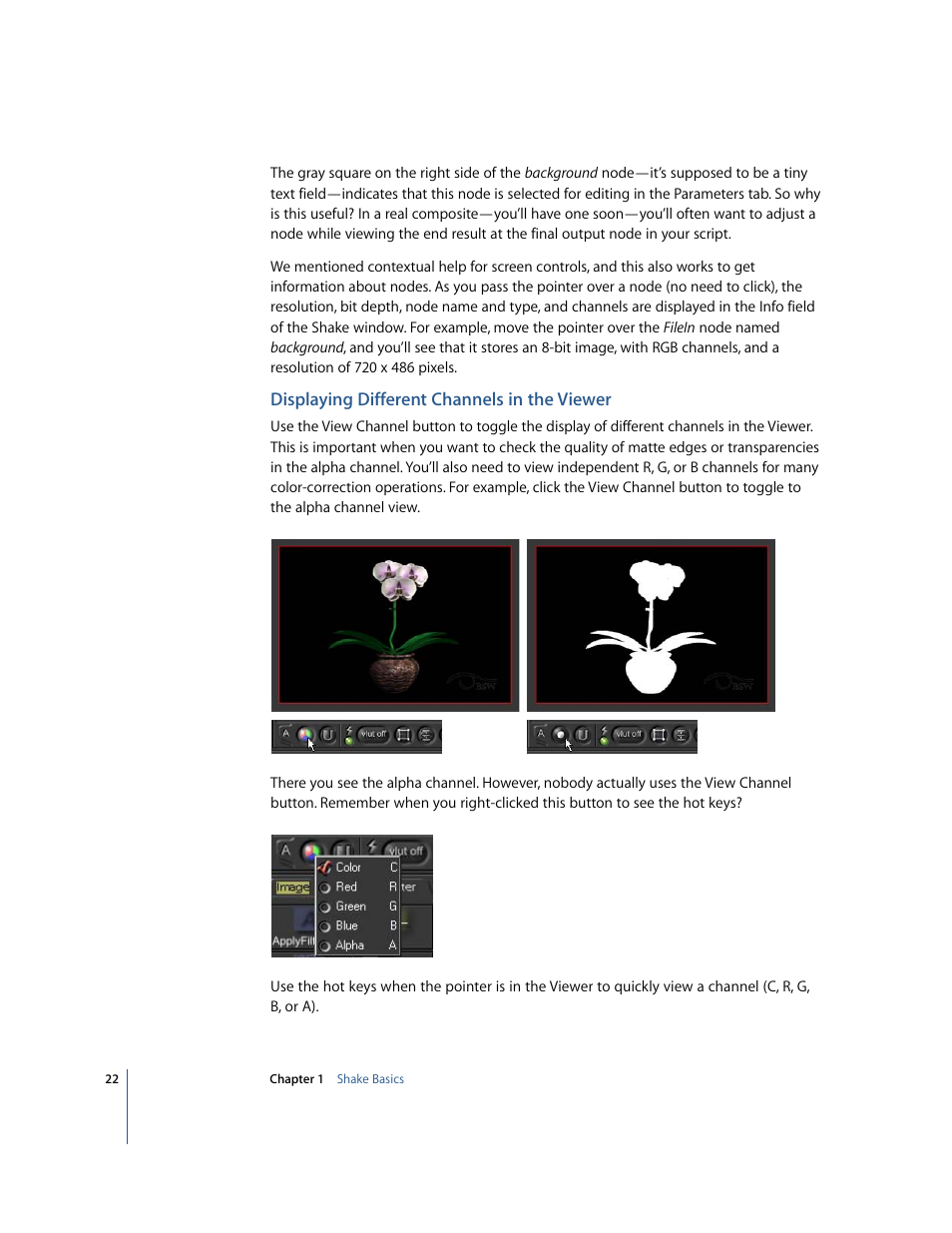 Displaying different channels in the viewer | Apple Shake 4 Tutorials User Manual | Page 22 / 260